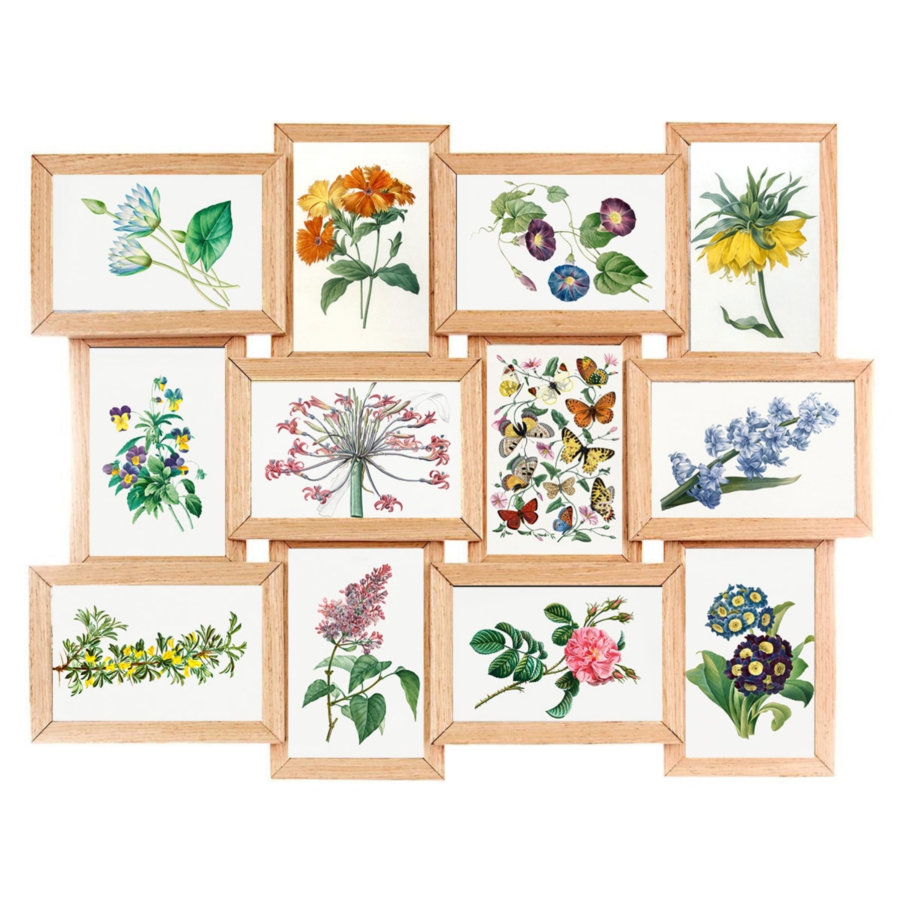 Multiramka na 12 zdjęć FINES, 45 x 59 cm
