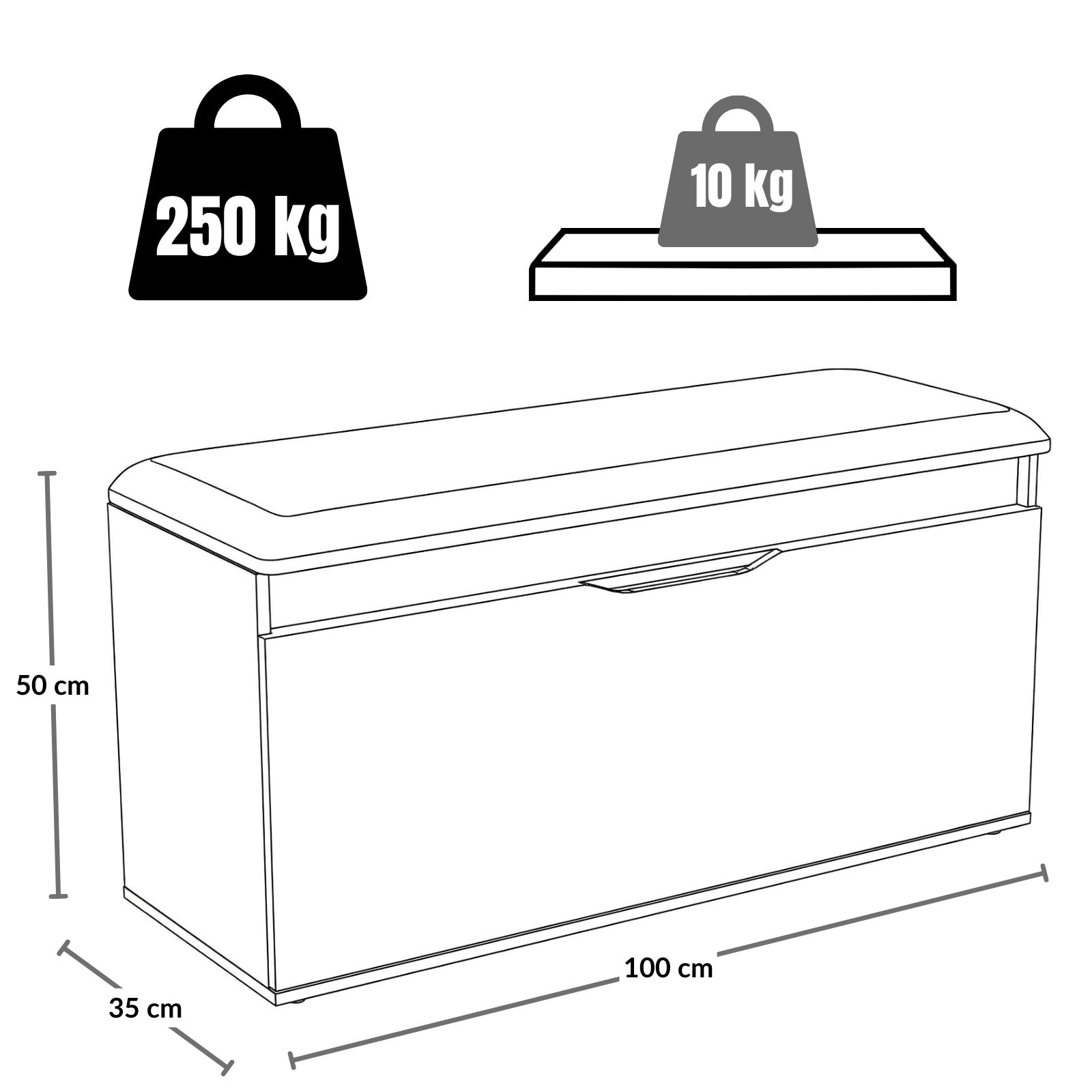 Szafka na buty z siedziskiem i schowkiem TORI, 100 x 50 x 35 cm